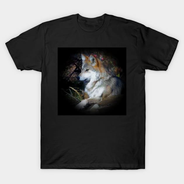 Grey wolf T-Shirt by Guardi